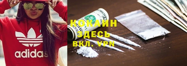 прущие грибы Горняк