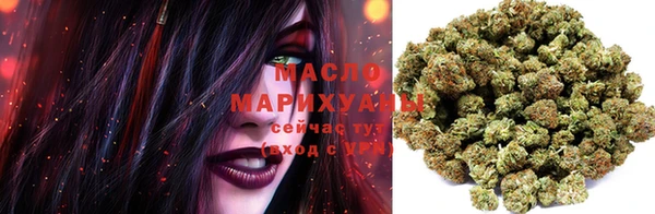прущие грибы Горняк