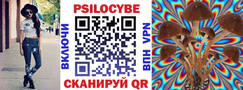 Псилоцибиновые грибы прущие грибы Выборг