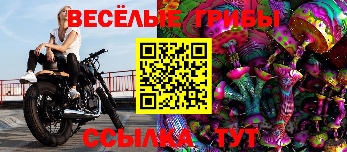 Псилоцибиновые грибы мицелий Выборг