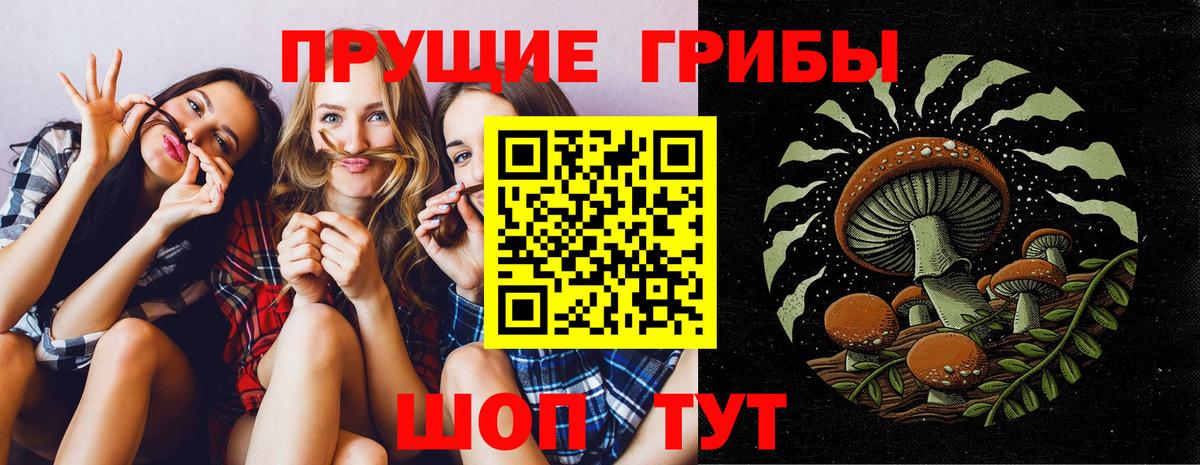 Выборг  Псилоцибиновые грибы Magic Shrooms  Вход с VPN 