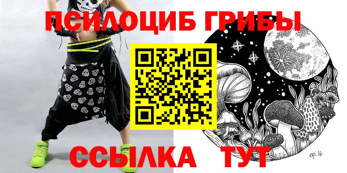 Псилоцибиновые грибы Psilocybe  сколько стоит  Выборг 