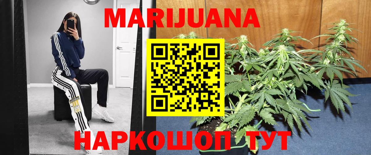 Выборг  Бошки Шишки AK-47  Конопля SATIVA & INDICA  Шишки марихуана планчик  Вход с VPN 